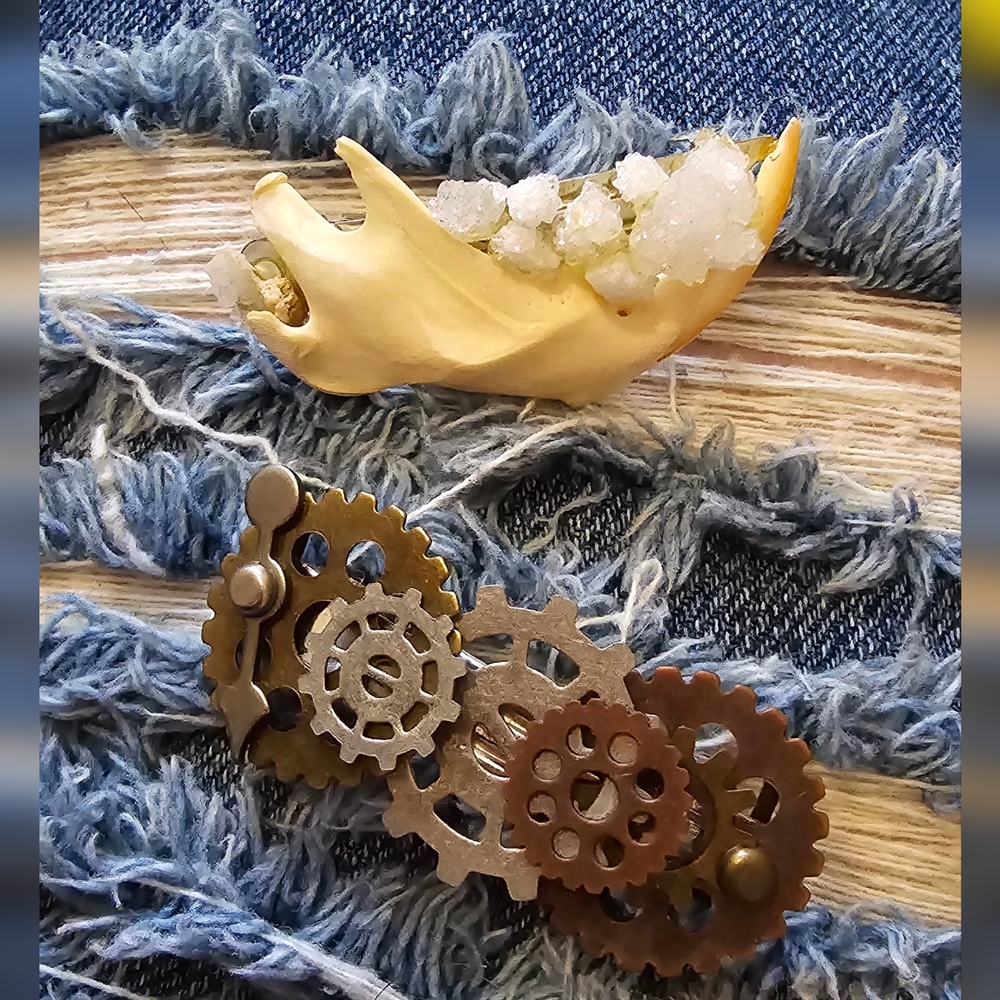2x Barrettes ~ Oddities & Curiosities Style